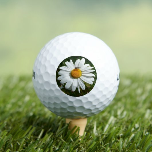 Bee op Daisy Alaskan Summer Natuur Foto Golfballen (Insitu Shirt)