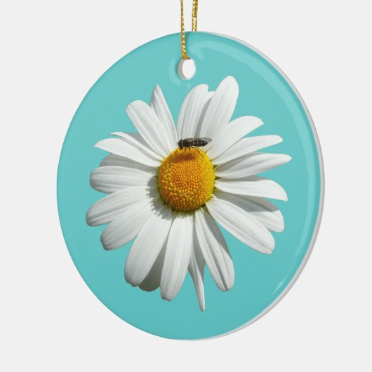 Bee op Daisy Alaskan Summer Natuur Foto Keramisch Ornament (Links)