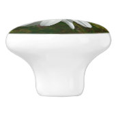 Bee op Daisy Alaskan Summer Natuur Foto Keramische Knop (Zijkant)