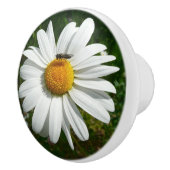 Bee op Daisy Alaskan Summer Natuur Foto Keramische Knop (Rechts)