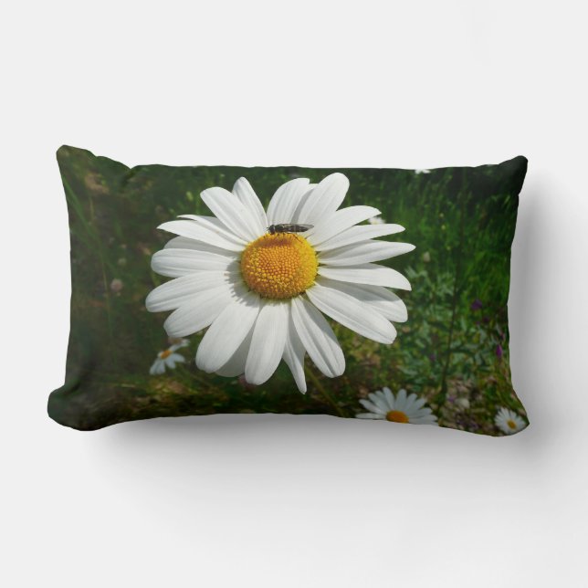 Bee op Daisy Alaskan Summer Natuur Foto Kussen (Voorkant)
