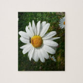 Bee op Daisy Alaskan Summer Natuur Foto Legpuzzel (Verticaal)