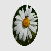 Bee op Daisy Alaskan Summer Natuur Foto Ornament (voorkant)