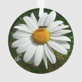 Bee op Daisy Alaskan Summer Natuur Foto Ornament (achterkant)