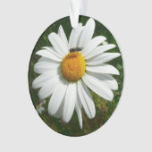 Bee op Daisy Alaskan Summer Natuur Foto Ornament (voorkant)