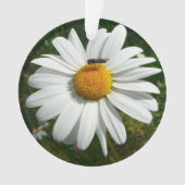 Bee op Daisy Alaskan Summer Natuur Foto Ornament (voorkant)