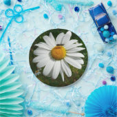 Bee op Daisy Alaskan Summer Natuur Foto Papieren Bordje (Feest)
