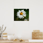 Bee op Daisy Alaskan Summer Natuur Foto Poster (Keuken)
