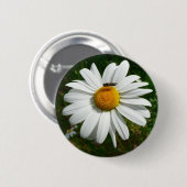 Bee op Daisy Alaskan Summer Natuur Foto Ronde Button 5,7 Cm (Voorkant /achterkant)
