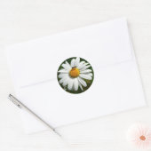 Bee op Daisy Alaskan Summer Natuur Foto Ronde Sticker (Envelop)