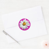 Bee op Daisy Alaskan Summer Natuur Foto Ronde Sticker (Envelop)