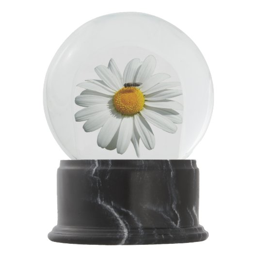 Bee op Daisy Alaskan Summer Natuur Foto Sneeuwbol (Voorkant)