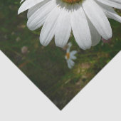 Bee op Daisy Alaskan Summer Natuur Foto Tissuepapier (Detail)