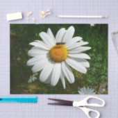 Bee op Daisy Alaskan Summer Natuur Foto Tissuepapier (Craft)