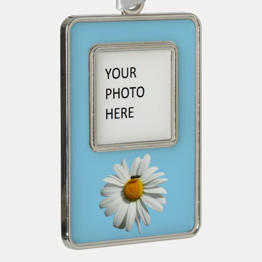 Bee op Daisy Alaskan Summer Natuur Foto Verzilverd Omlijst Ornament (Rechts)