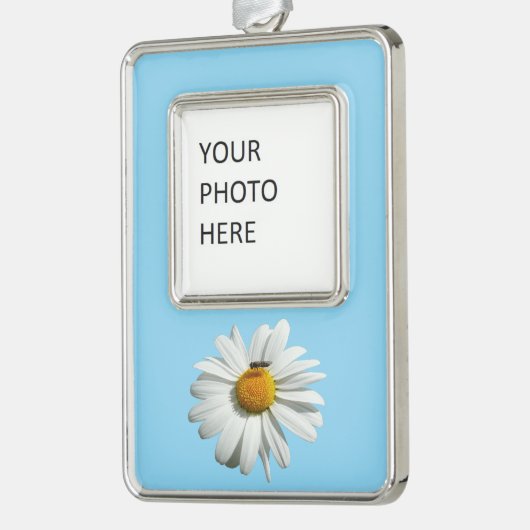 Bee op Daisy Alaskan Summer Natuur Foto Verzilverd Omlijst Ornament (Links)