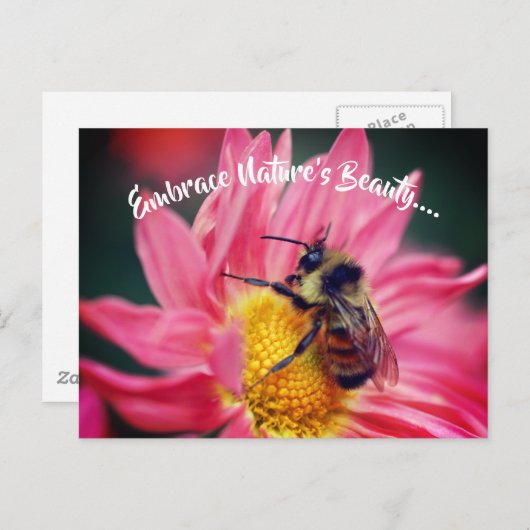Bee op Daisy Embrace Natuur Inspirerend Briefkaart (Voorkant / Achterkant)