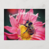 Bee op Daisy Embrace Natuur Inspirerend Briefkaart (Voorkant)