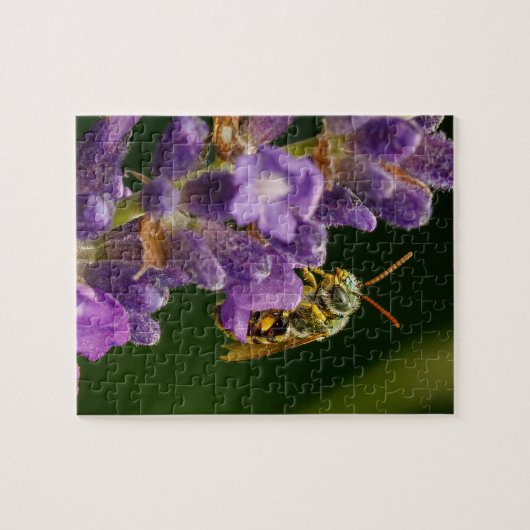 Bee op de Bloedzool Puzzle Legpuzzel (Horizontaal)