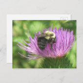 Bee op de fles briefkaart (Voorkant / Achterkant)