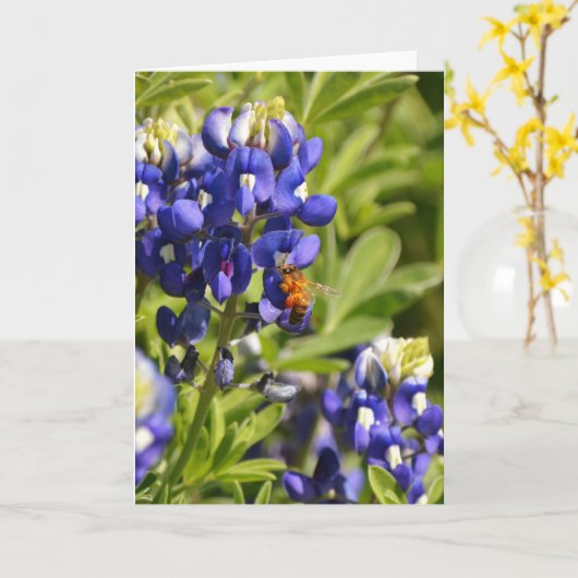 Bee op de Kaart van de Manuscript van Bluebonnet P (Gele Bloem)