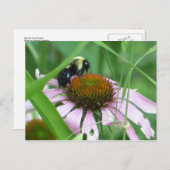 Bee op de kloonventilator briefkaart (Voorkant / Achterkant)