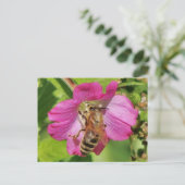 Bee op een foto van Wildflower Briefkaart (Staand voorkant)