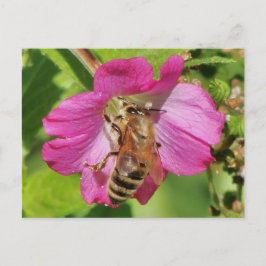 Bee op een foto van Wildflower Briefkaart