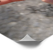 Bee op een vinger poster (Hoek)