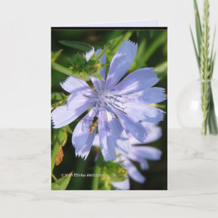 Bee op een wilde blu kaart