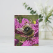 Bee op Fireweed, Unalaska Island Briefkaart (Staand voorkant)