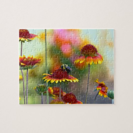 Bee op Gaillardia Jigzaag Puzzle Legpuzzel (Horizontaal)