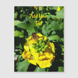Bee op gele bloemen
