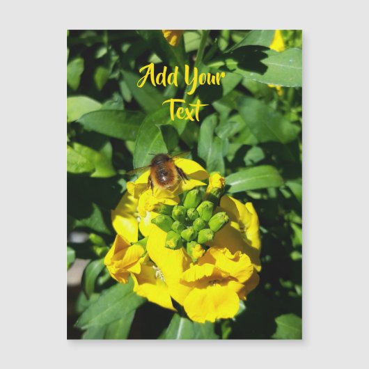 Bee op gele bloemen (Voorkant)