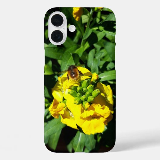 Bee op gele bloemen Case-Mate iPhone case (Achterkant)