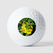 Bee op gele bloemen golfballen (Voorkant)