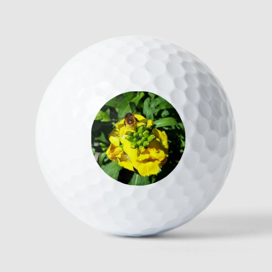 Bee op gele bloemen golfballen (Voorkant)