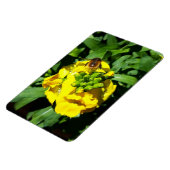 Bee op gele bloemen magneet (Linkerzijde)
