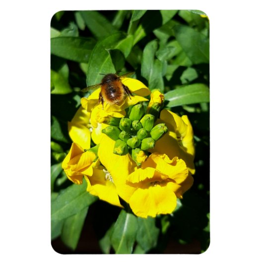Bee op gele bloemen magneet (Verticaal)