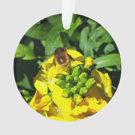 Bee op gele bloemen ornament (voorkant)
