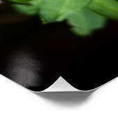 Bee op gele bloemen perfect poster (Hoek)