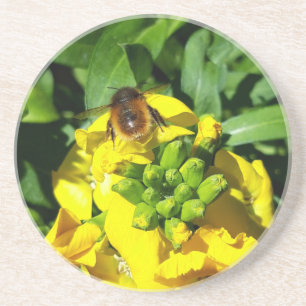 Bee op gele bloemen zandsteen onderzetter