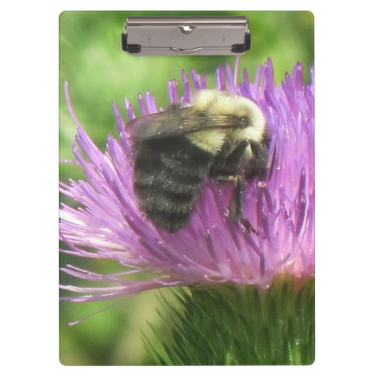 Bee op het dikke klembord (Voorkant)