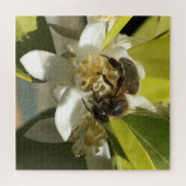Bee op Lemon Blossom Legpuzzel (Horizontaal)