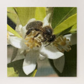 Bee op Lemon Blossom Legpuzzel (Verticaal)