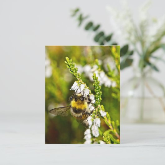 Bee op Lucky White Heather Briefkaart (Staand voorkant)