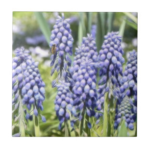 Bee op muscari Flowers Tegeltje