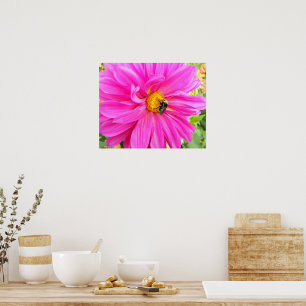 Bee op roze Dahlia Floral Foto Poster
