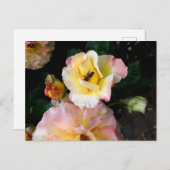 Bee op roze gele rozenbloemen briefkaart (Voorkant / Achterkant)