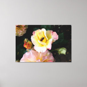 Bee op roze gele rozenbloemen canvas afdruk